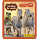 Chevaux 2023 - blister 8 pochettes PANINI