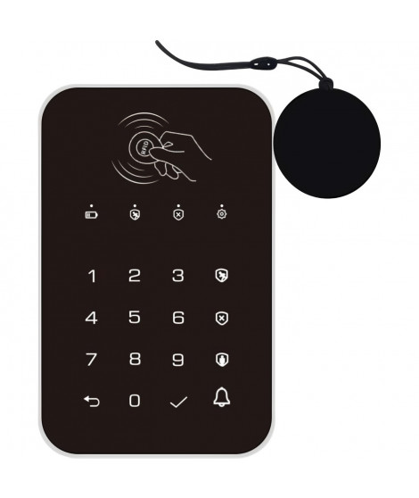 Wireless Keypad WKE301 avec 2 Badges RFID