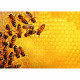 Puzzle 1000 pieces - La ruche aux abeilles (Challenge Puzzle) - Adultes et enfants des 14 ans - 17362 - Ravensburger