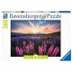 Puzzle 500 pieces Les lupins (Nature edition) - Ravensburger - Paysage et nature - Adultes et enfants des 12 ans