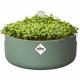 Pot De Fleurs Rond MAGIC MICROGREENS - Plastique - Ø16 - Leaf Green