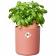 Pot De Fleurs Rond BOUNCY BASIL - Plastique - Ø16 - Terra Caramel