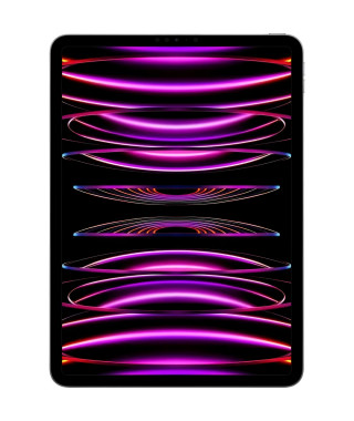 Apple - iPad Pro (2022) - 11 - WiFi - 256 Go - Gris Sidéral
