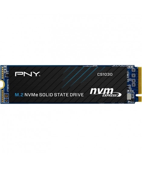 PNY - CS1030 - SSD - 500 Go - M.2 2280 - M280CS1030-500-RB