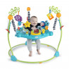 BABY EINSTEIN Ocean Explorers Curiosity Cove aire d'éveil éducative 2 en 1 et jouet au sol, poids maximum 11kg, des 6 mois