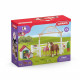 Schleich - Enclos pour chevaux d'Hannah avec chienne Ruby - 42458