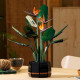 LEGO Icons 10289 L'Oiseau de Paradis, Fleurs Décoratives, Maquette Botanical Collection, Construction Plantes, pour Adultes