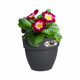 ELHO - Pot de fleurs -  Vibia Campana Easy Hanger Small - Anthracite - Balcon extérieur - L 24.1 x W 20.5 x H 26.5 cm