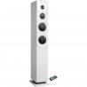 Tour de son Bluetooth INOVALLEY HP33-CD - Lecteur CD - Haut-parleurs 100 Watts - Blanc