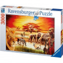 Puzzle 3000 pieces - La fierté du Massai - Ravensburger - Paysage et nature - Mixte - Adulte