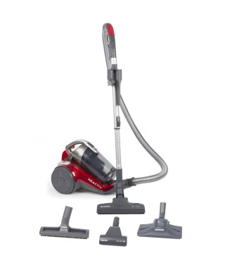 HOOVER RC81_RC25 Aspirateur Traineau sans sac, Puissant 800W, 75db, Performance, Filtre Lavable, Brosse Poils Animaux, Gris/R…