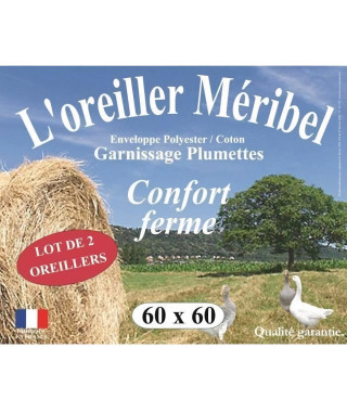 DODO Lot de 2 Oreillers MERIBEL Plumettes 60x60cm