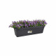 ELHO Balconniere Green Basics 60 - Extérieur & Balcon - L 16,5 x W 58,5 x H 13,7 cm - Vivre noir