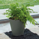 DEROMA Pot de fleurs a reserve d'eau Save R Verde - 20 cm