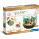 Terrarium Harry Potter - CLEMENTONI - Cabane de Hagrid a reproduire