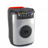 INOVALLEY FIRE01 - Enceinte Karaoké - Bluetooth V5.0 - 40 W