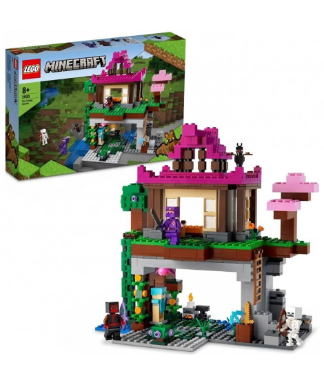 LEGO 21183 Minecraft Le Camp d'Entraînement, Jouet avec Figurines Ninja, Squelette, avec Maison, Cadeau Garçons et Filles Des…