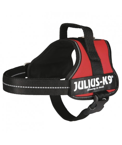 Harnais Power Julius-K9 - Mini - S : 49-67 cm-28 mm - Rouge - Pour chien