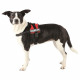 Harnais Power Julius-K9 - Mini - S : 49-67 cm-28 mm - Rouge - Pour chien