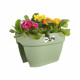 ELHO - Pot de fleurs -  Vibia Campana Flower Bridge 40 - Vert Pistache - Balcon extérieur - L 26 x W 39 x H 22 cm