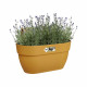 ELHO - Pot de fleurs -  Vibia Campana Easy Hanger Medium - Jaune Miel - Balcon extérieur - L 24.1 x W 36 x H 26.5 cm