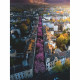 Puzzle 1500 pieces Ravensburger - Bonn en fleurs - Paysage et nature