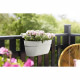 ELHO - Pot de fleurs -  Vibia Campana Easy Hanger Large - Blanc Soie - Balcon extérieur - L 24.1 x W 46 x H 26.5 cm