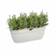 ELHO - Pot de fleurs -  Vibia Campana Easy Hanger Large - Blanc Soie - Balcon extérieur - L 24.1 x W 46 x H 26.5 cm