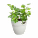 ELHO - Pot de fleurs -  Vibia Campana Easy Hanger Small - Blanc Soie - Balcon extérieur - L 24.1 x W 20.5 x H 26.5 cm