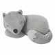 Cale-Bébé P'tit Loup Tinéo 0-3m - Maintien sur le dos et peluche