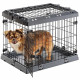 Cage Pliable pour tres petits chiens SUPERIOR 60 Clôture métallique, avec Séparateur, Double verrouillage - 60 x 47 x 50 cm