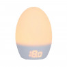 TOMMEE TIPPEE Thermometre numérique Groegg USB