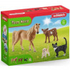 SCHLEICH - Kit de base Farm World - 72161 - Gamme Farm World