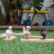 SCHLEICH - Trio de poules - 42574 - Gamme Farm World