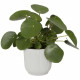 Elho Pot de fleurs Rond VIBES - Plastique - Ø25xH 23.0 cm - Blanc/Blanc soie