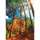 Puzzle 1000 pieces - Les ocres de Roussillon - Nathan - Adulte - Mixte - Paysage et nature