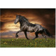 CHEVAL AU TROT - Puzzle de 1000 pieces