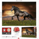 CHEVAL AU TROT - Puzzle de 1000 pieces