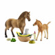 Figurine SCHLEICH - Les soins pour bébé animaux d'Horse Club Sarah - Modele Quarter Horse - Jouet éducatif