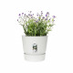 elho  Greenville Pflanztopf Ø47 cm Pot a Plantes weiß - 123