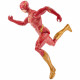 DC Comics - Figurine The Flash 30 cm - Des 3 ans
