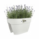 ELHO - Pot de fleurs -  Vibia Campana Flower Bridge 40 - Blanc Soie - Balcon extérieur - L 26 x W 39 x H 22 cm