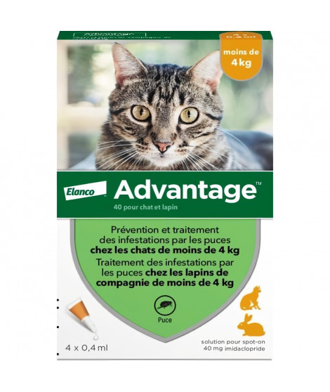 Advantage Solution Antipuce Chat Lapin 1 a 4kg 4 pipettes