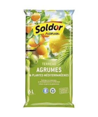 ALGOFLASH - Terreau Agrumes et Plantes Méditerranéennes 6 L