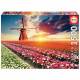 EDUCA - Puzzle - 1500 CHAMPS DE TULIPES