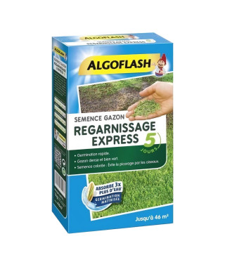 ALGOFLASH - Gazon regarnissant express 5 jours 1kg