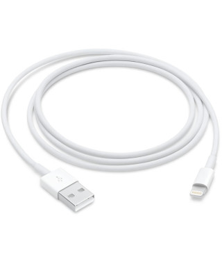 Cable APPLE Lightning To USB cable 1 M