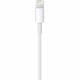 Cable APPLE Lightning To USB cable 1 M