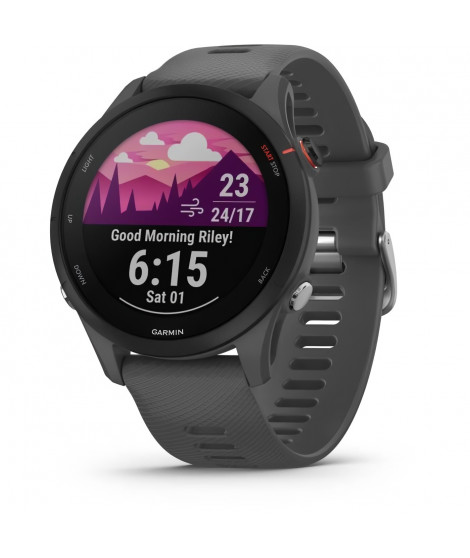 Montre connectée sport - GARMIN - Forerunner 255 - Grise