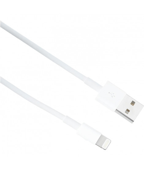 Cable APPLE Lightning To USB cable 2 M